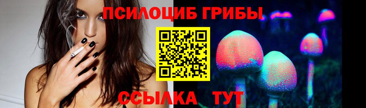 Галлюциногенные грибы Magic Shrooms  цена наркотик  Черкесск  Вход с VPN  Псилоцибиновые грибы Psilocybine cubensis 